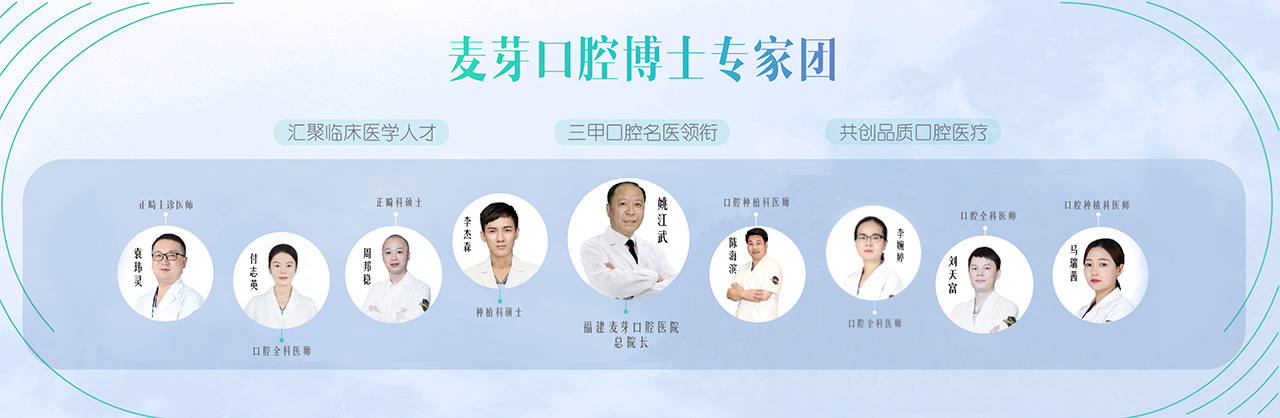 专家团队